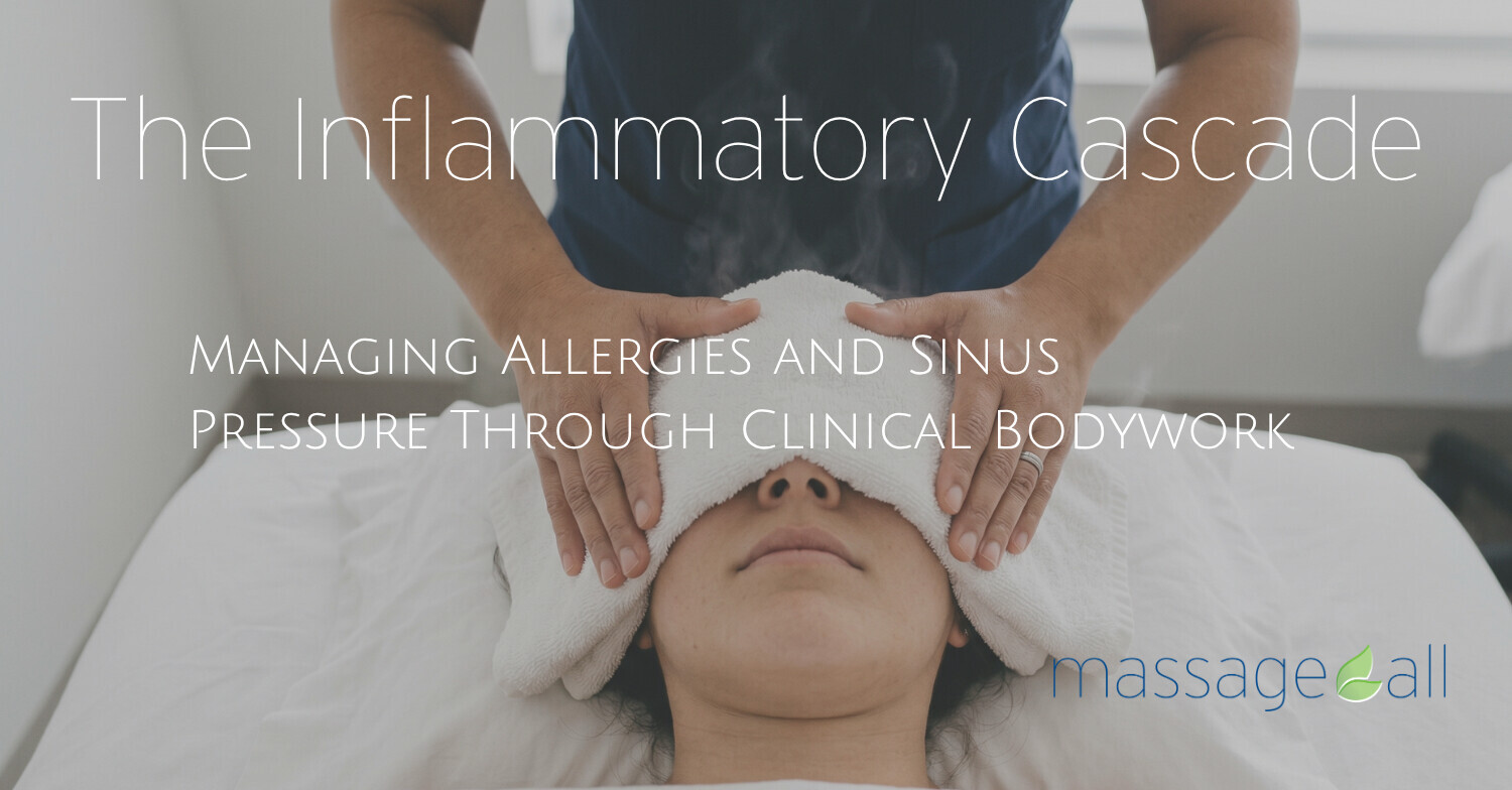 Therapeutic sinus relief treatment using warm compress and manual pressure for seasonal allergy management.